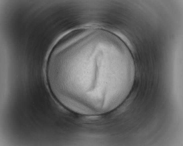 X0000091911486200709261707