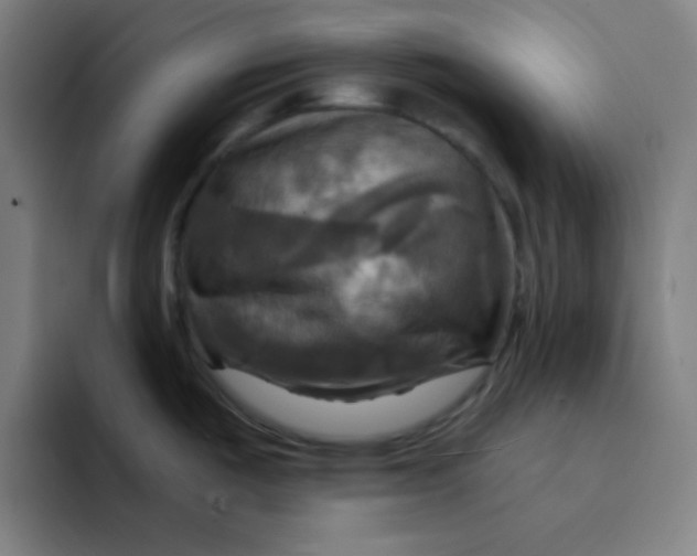 X0000091911487200709261707