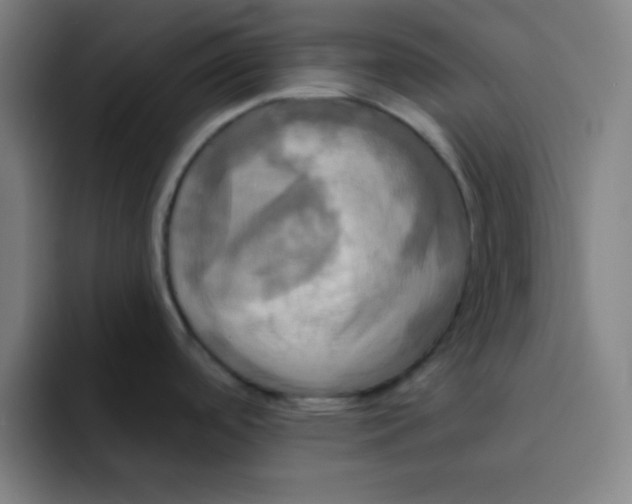 X0000091911488200709261707