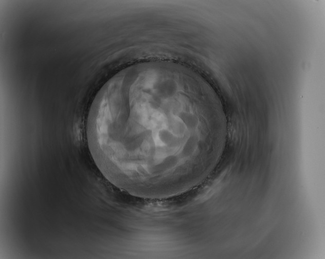 X0000091911490200709261706