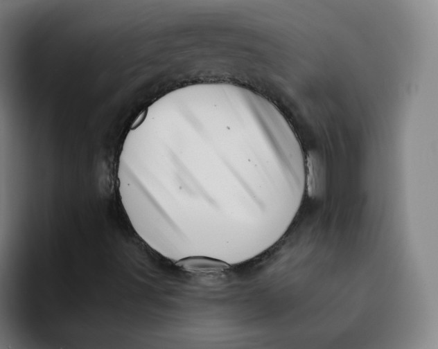 X0000091911491200709261706