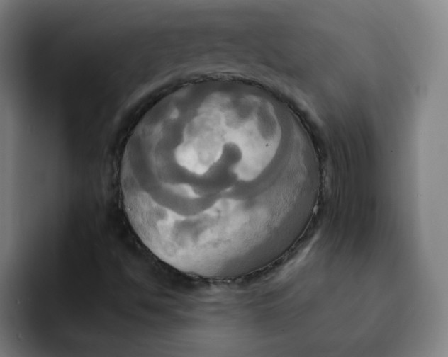 X0000091911494200709261706