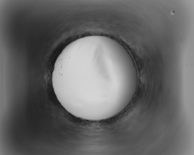 X0000091911495200709261706