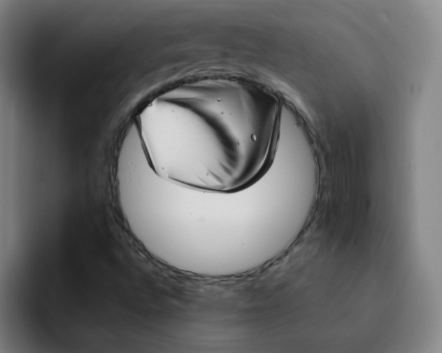 X0000091911496200709261706