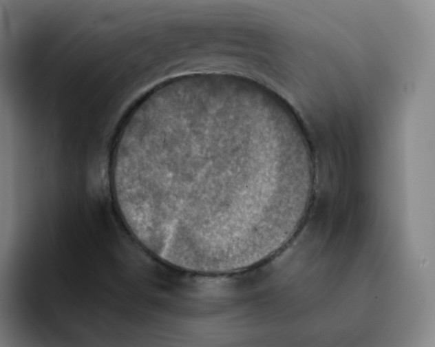 X0000091911498200709261706