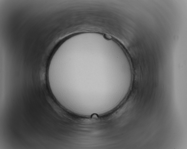 X0000091911499200709261706