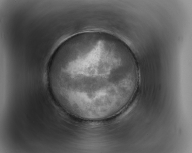 X0000091911501200709261706