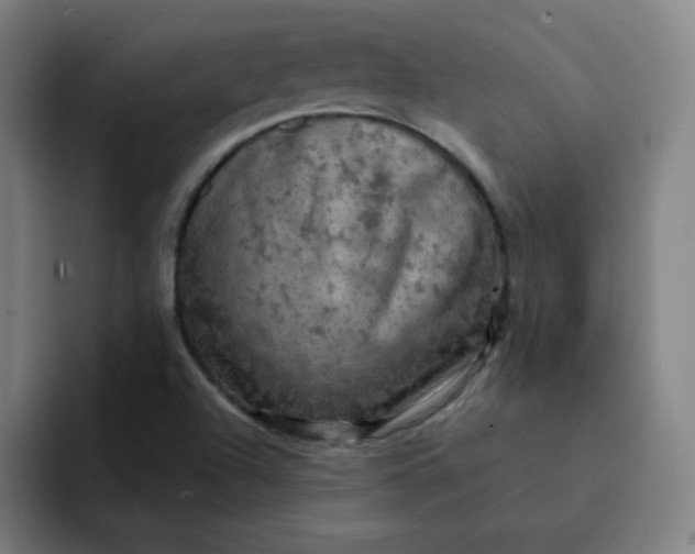 X0000091911504200709261706