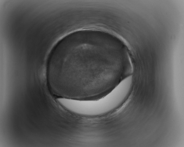 X0000091911506200709261706