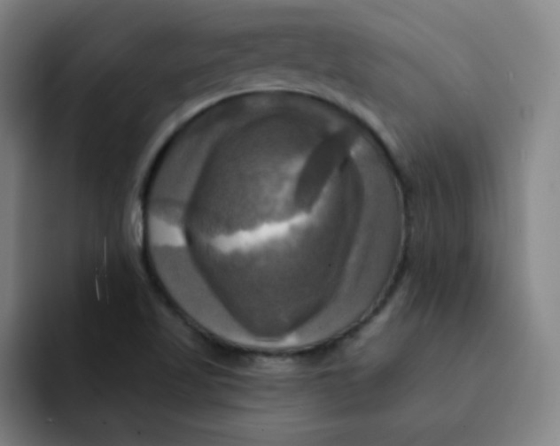 X0000091911509200709261706