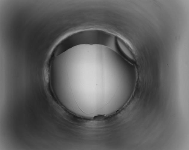 X0000091911510200709261706