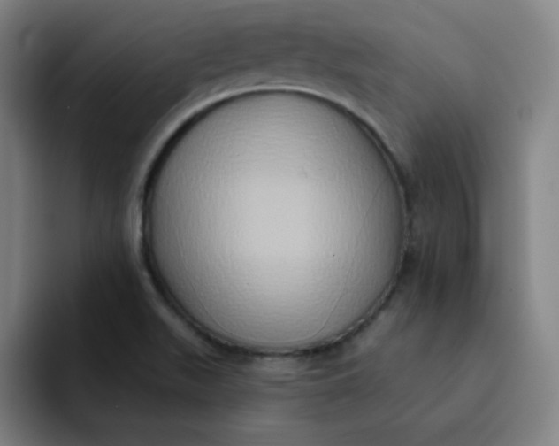 X0000091911511200709261706