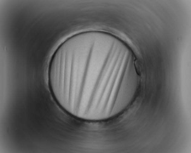 X0000091911512200709261706