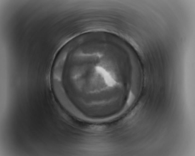 X0000091911513200709261706