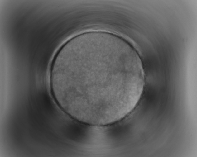 X0000091911514200709261706