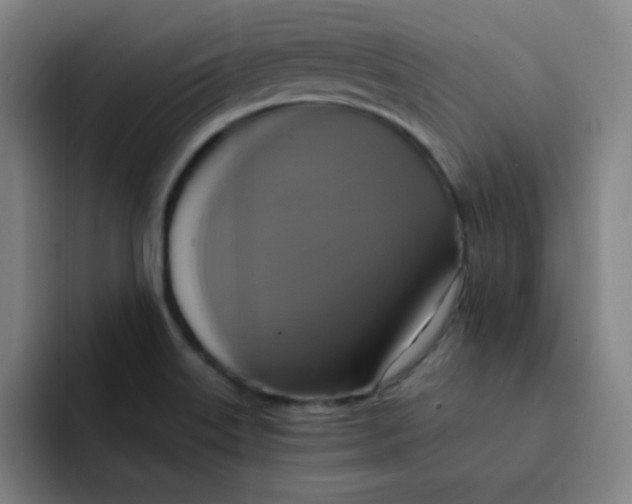 X0000091911515200709261706