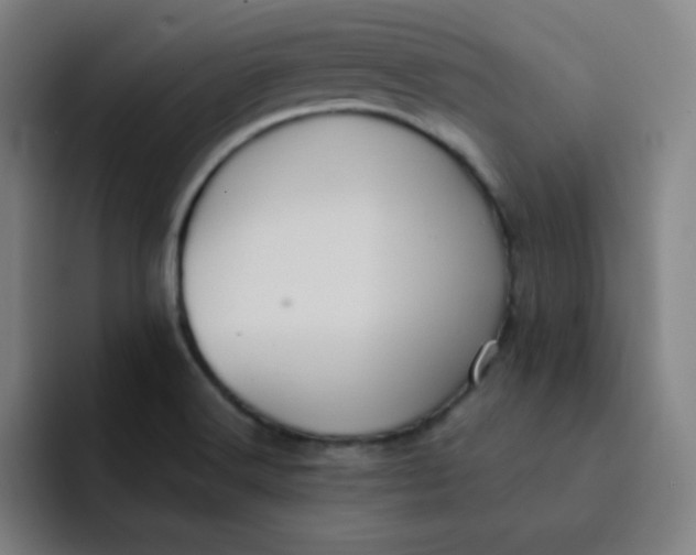 X0000091911516200709261706