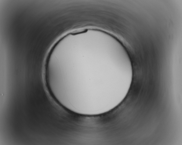 X0000091911518200709261706