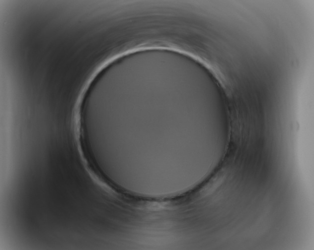 X0000091911519200709261706