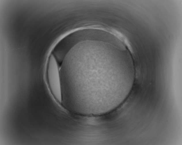 X0000091911520200709261706