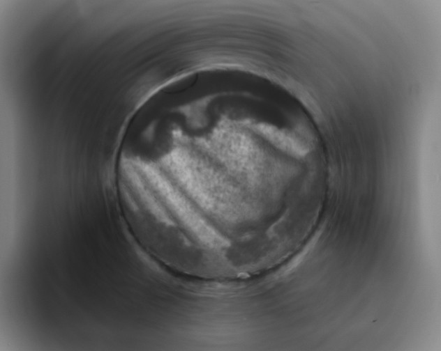 X0000091911521200709261706