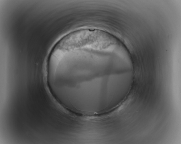 X0000091911522200709261706