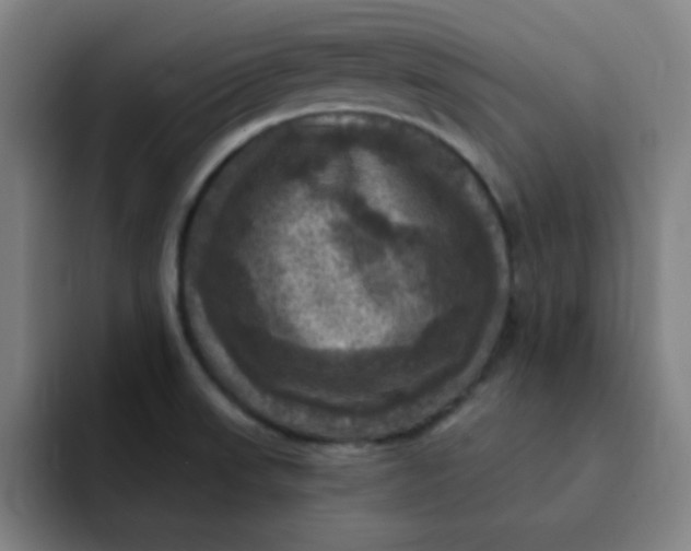 X0000091911523200709261706