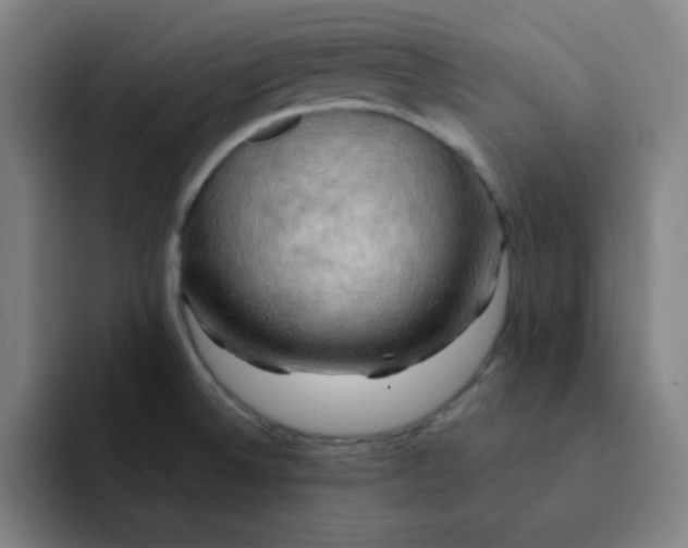 X0000091911524200709261706