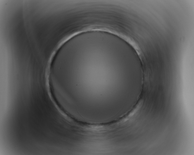 X0000091911525200709261706