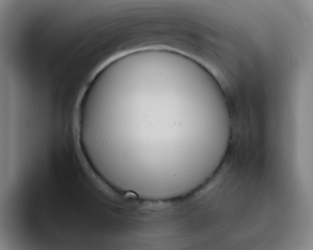 X0000091911526200709261706