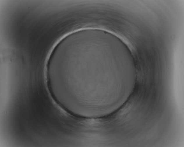 X0000091911527200709261706