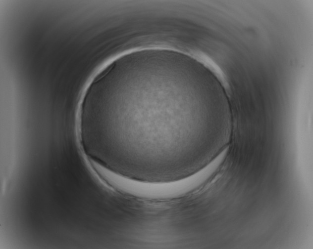 X0000091911528200709261706