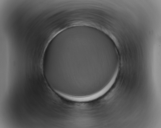 X0000091911529200709261706