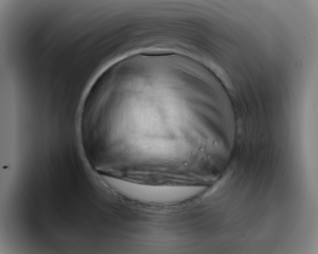 X0000091911530200709261706