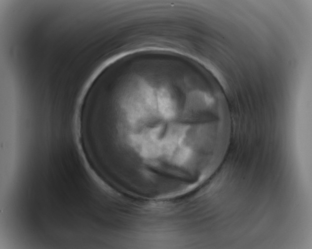 X0000091911531200709261706