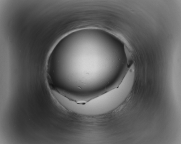 X0000091911532200709261706