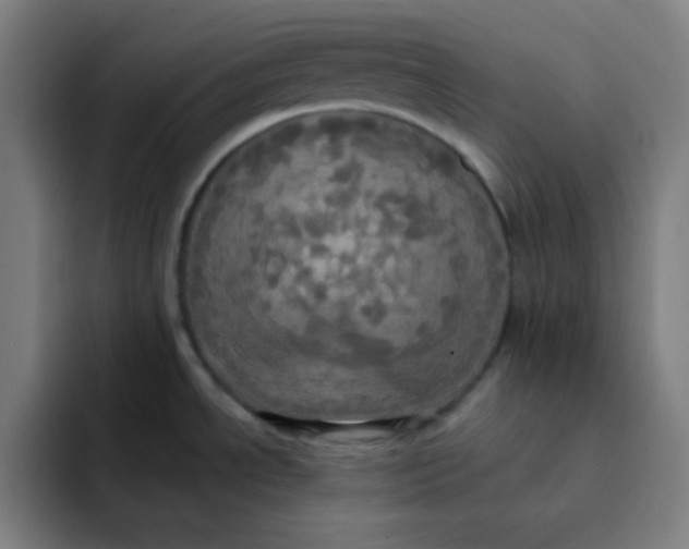 X0000091911534200709261706