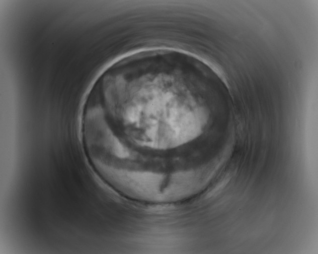 X0000091911535200709261706