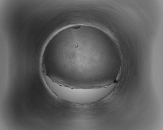 X0000091911536200709261707