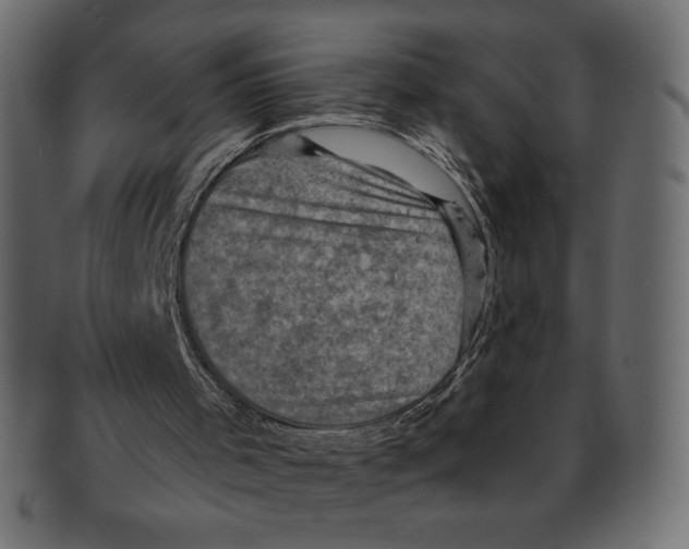 X0000091910001200710031028