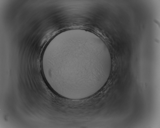 X0000091910002200710031028