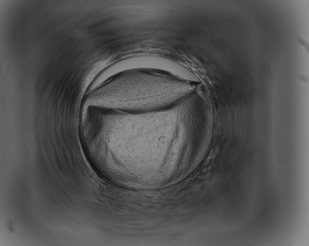 X0000091910003200710031028