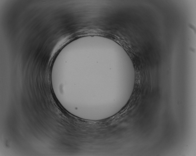 X0000091910004200710031028