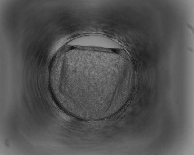 X0000091910005200710031028