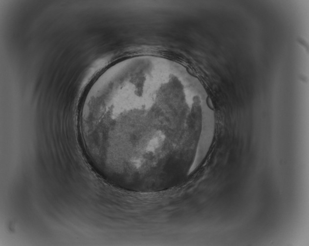 X0000091910006200710031028