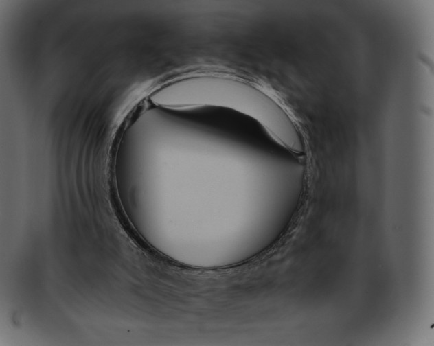 X0000091910007200710031028