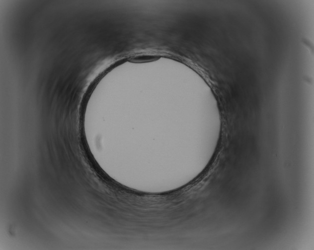 X0000091910008200710031028