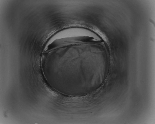 X0000091910009200710031028