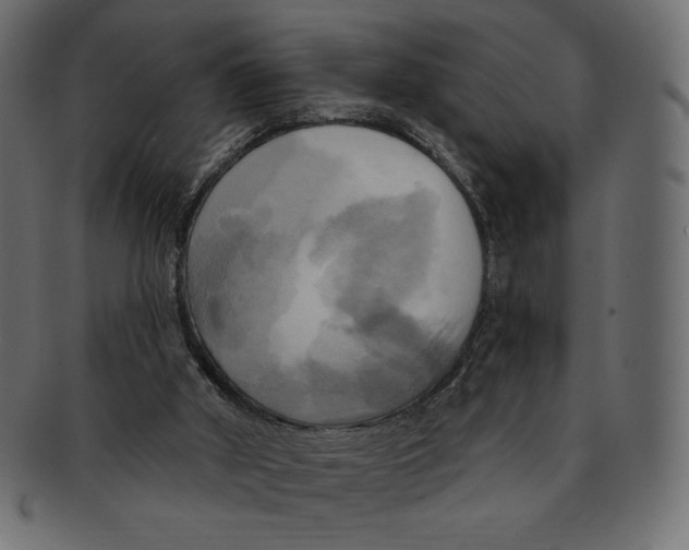 X0000091910010200710031028