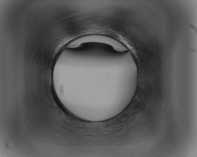 X0000091910011200710031028